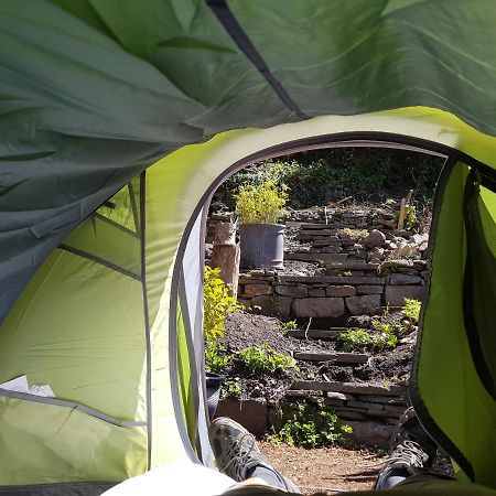 'Yellow Wood Micro Hostel-Eco Urban Bothy Style Very Basic But Cosy Redecorating But Cheap & Friendly Quiet Time Lockout 11Pm-7Am Bring Towel Or Hire Brecon Kültér fotó