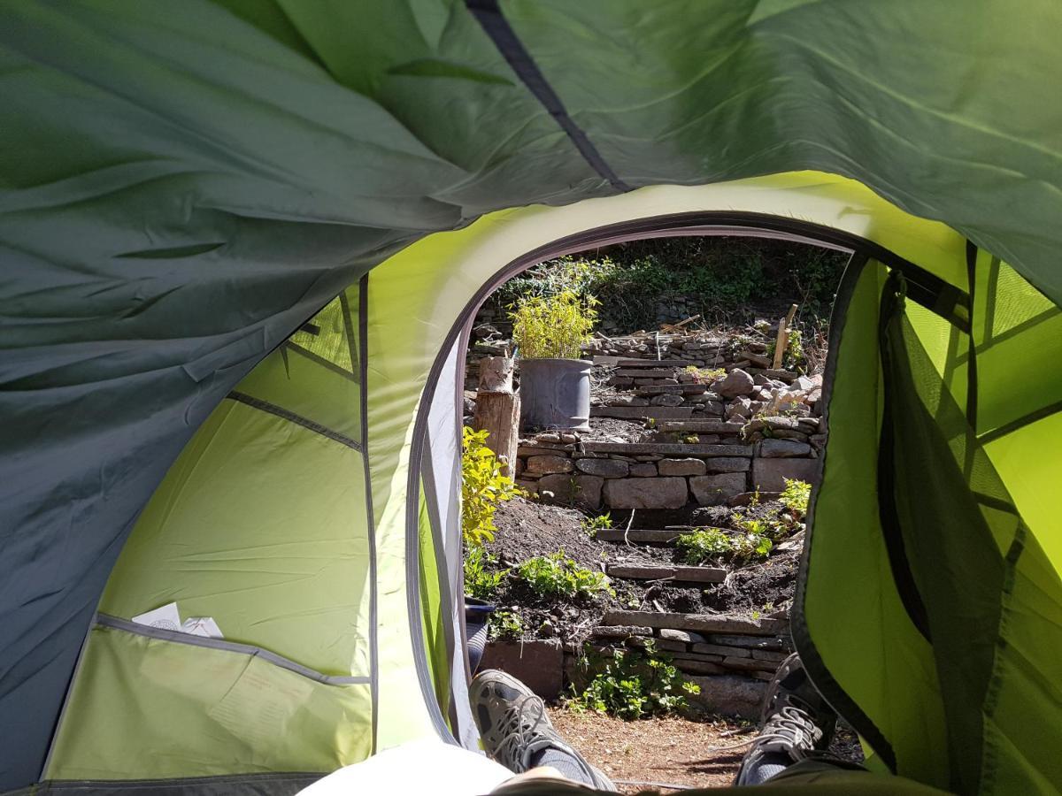 'Yellow Wood Micro Hostel-Eco Urban Bothy Style Very Basic But Cosy Redecorating But Cheap & Friendly Quiet Time Lockout 11Pm-7Am Bring Towel Or Hire Brecon Kültér fotó