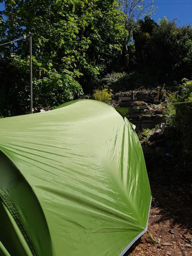 'Yellow Wood Micro Hostel-Eco Urban Bothy Style Very Basic But Cosy Redecorating But Cheap & Friendly Quiet Time Lockout 11Pm-7Am Bring Towel Or Hire Brecon Kültér fotó